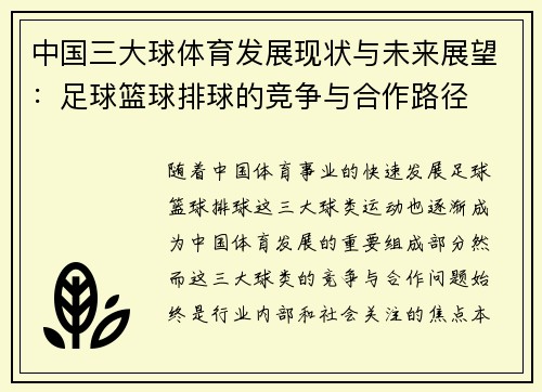 中国三大球体育发展现状与未来展望：足球篮球排球的竞争与合作路径